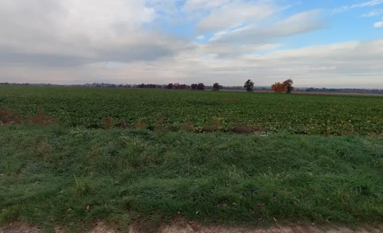 Prodej pole, Červené Pečky, 7209 m2