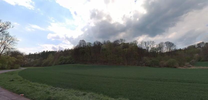 Prodej zahrady, Snědovice, 17989 m2