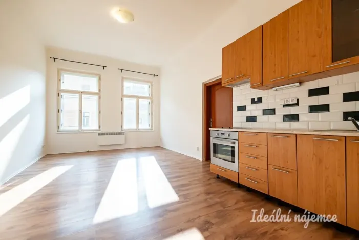 Pronájem bytu 2+kk, Praha - Žižkov, Seifertova, 46 m2