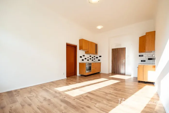 Pronájem bytu 2+kk, Praha - Žižkov, Seifertova, 46 m2
