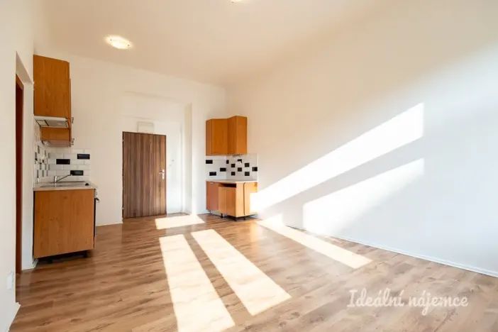 Pronájem bytu 2+kk, Praha - Žižkov, Seifertova, 46 m2