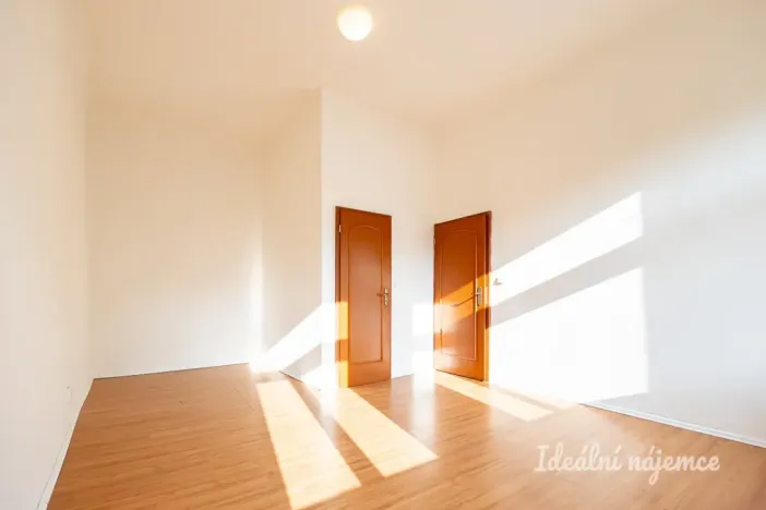 Pronájem bytu 2+kk, Praha - Žižkov, Seifertova, 46 m2