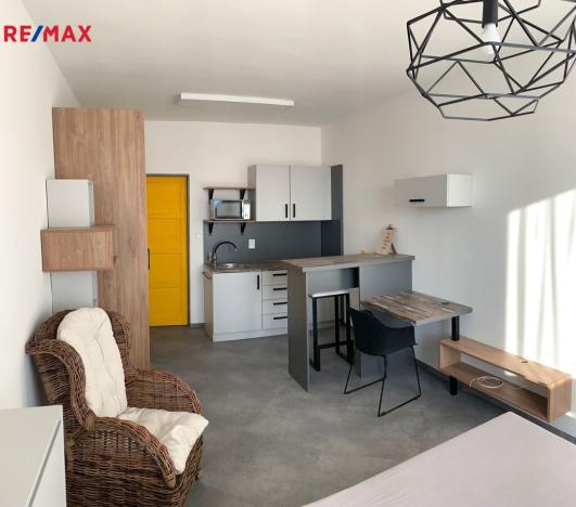 Pronájem bytu 1+kk, Havířov - Město, E. F. Buriana, 24 m2