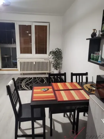 Pronájem bytu 1+kk, Ostrava - Moravská Ostrava, Lechowiczova, 30 m2