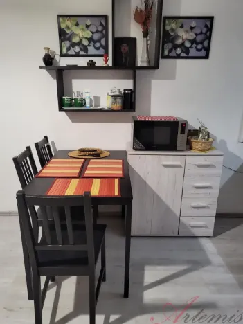 Pronájem bytu 1+kk, Ostrava - Moravská Ostrava, Lechowiczova, 30 m2