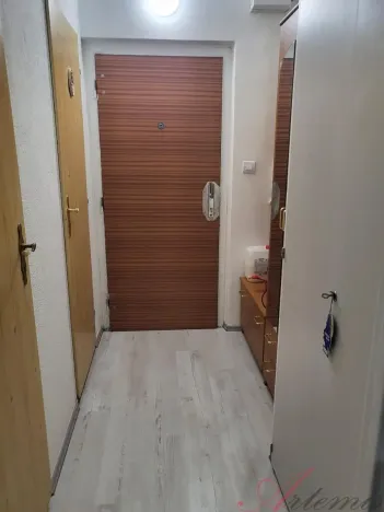 Pronájem bytu 1+kk, Ostrava - Moravská Ostrava, Lechowiczova, 30 m2