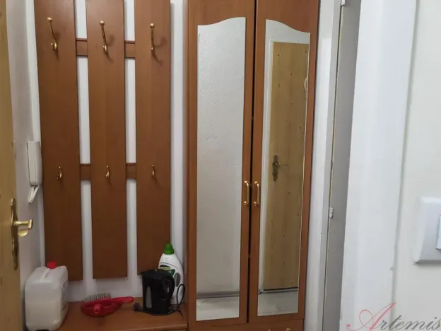 Pronájem bytu 1+kk, Ostrava - Moravská Ostrava, Lechowiczova, 30 m2