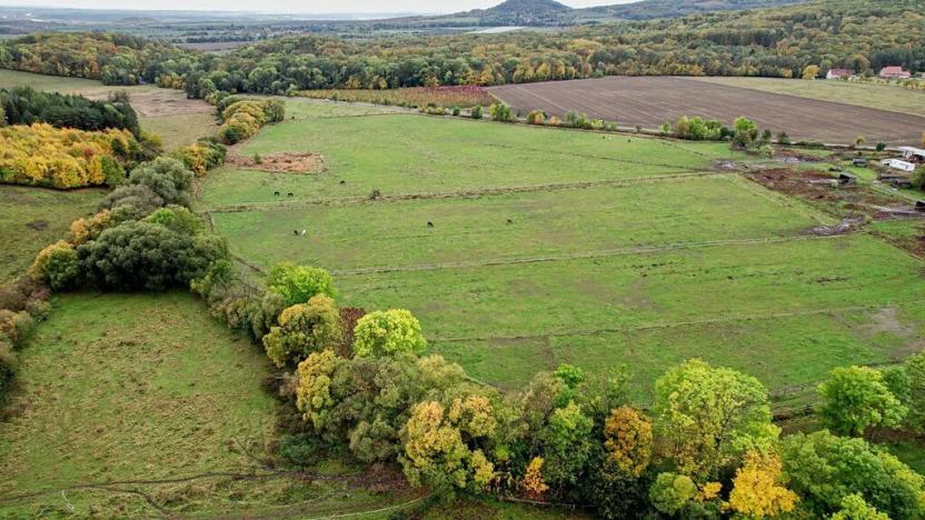 Prodej pozemku, Třebušín, 127000 m2