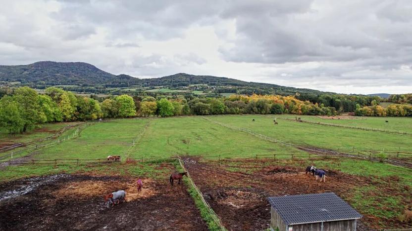 Prodej pozemku, Třebušín, 127000 m2