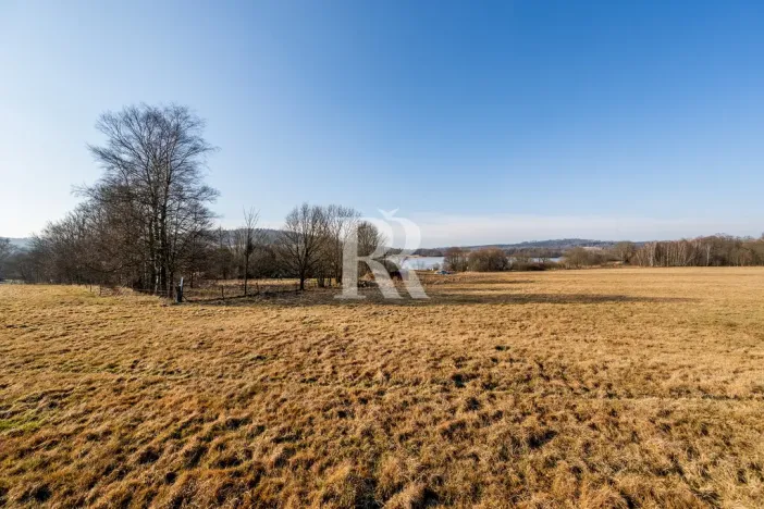 Prodej pozemku pro bydlení, Horní Podluží, 3931 m2