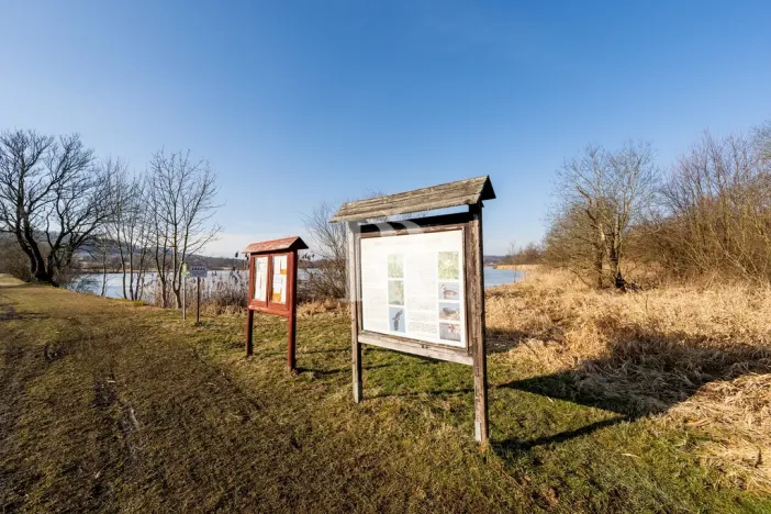 Prodej pozemku pro bydlení, Horní Podluží, 3931 m2