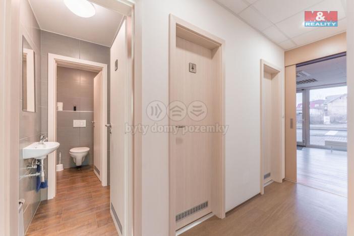Pronájem kanceláře, Praha - Břevnov, Bělohorská, 168 m2