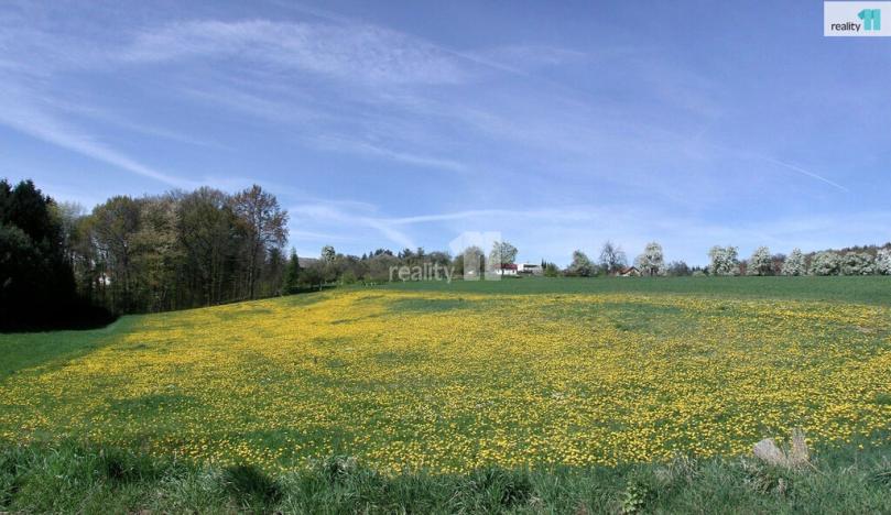 Prodej pole, Paceřice, 81754 m2