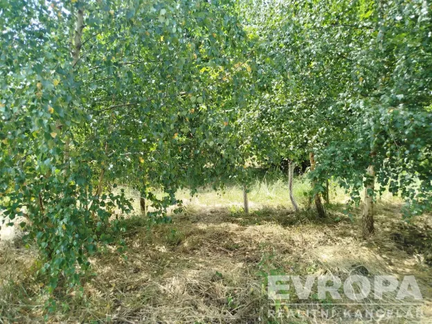 Prodej pozemku pro bydlení, Moraveč, 1950 m2