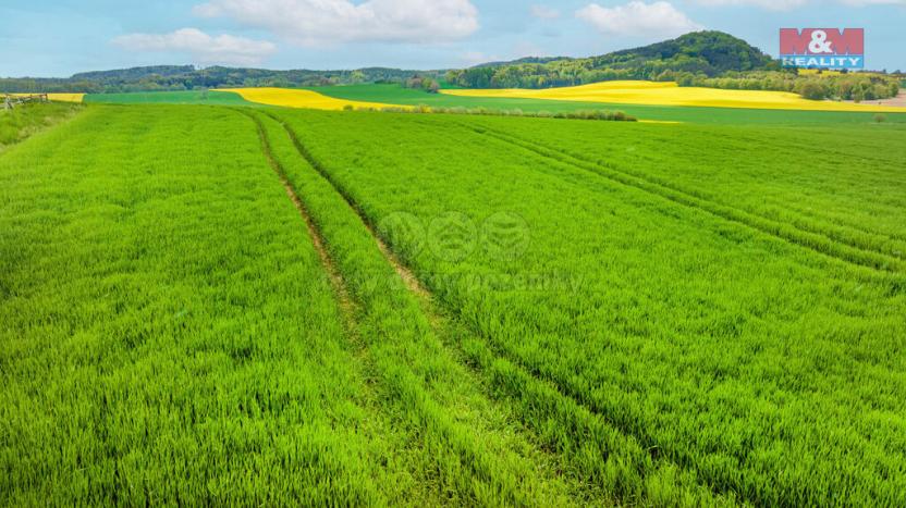 Prodej komerčního pozemku, Tachov, 33529 m2