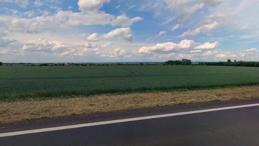 Prodej podílu pole, Kněžičky, 20083 m2