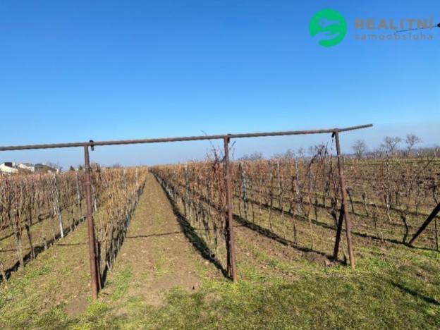 Prodej pole, Moravská Nová Ves, Na Výsluní, 3165 m2