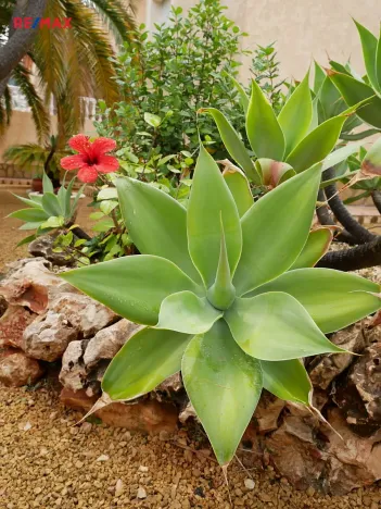 Prodej vily, Calp, Španělsko, 400 m2