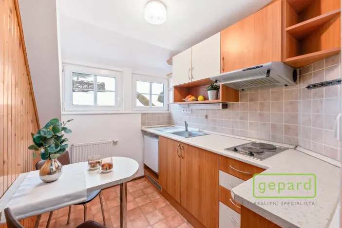 Prodej apartmánu, Vrchlabí - Hořejší Vrchlabí, 300 m2