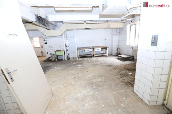 Prodej komerční nemovitosti, Karlovy Vary - Rybáře, Sokolovská, 600 m2