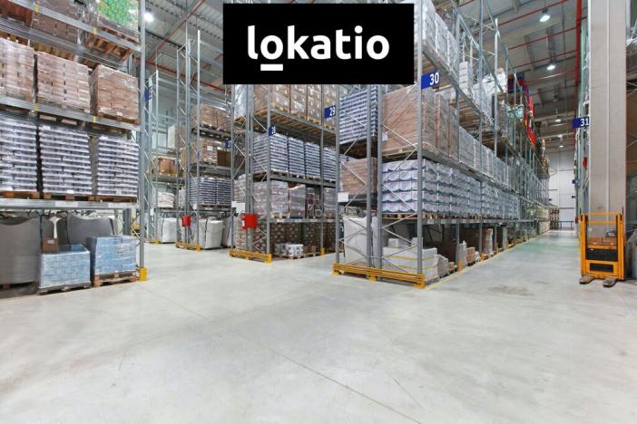 Pronájem skladu, Kostelec - Ostrov u Stříbra, 11700 m2