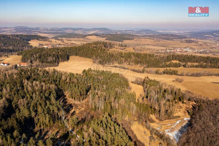 Prodej lesa, Čkyně - Onšovice, 12762 m2