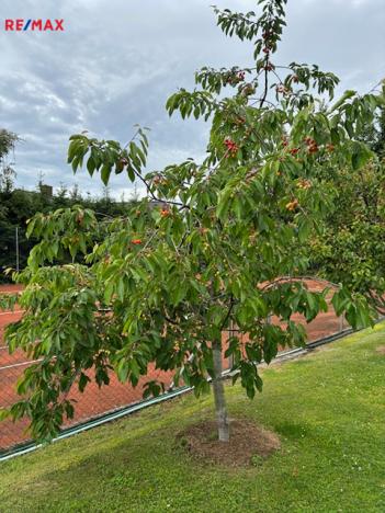Prodej vícegeneračního domu, Černolice, Pod Hůrkou, 420 m2