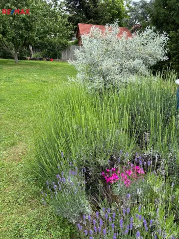 Prodej vícegeneračního domu, Černolice, Pod Hůrkou, 420 m2