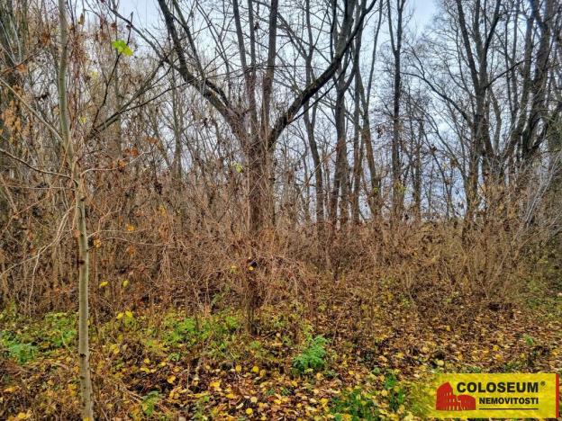 Prodej pozemku pro bydlení, Rousínov - Čechyně, 3392 m2