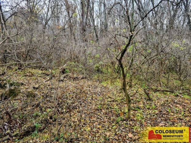 Prodej pozemku pro bydlení, Rousínov - Čechyně, 3392 m2