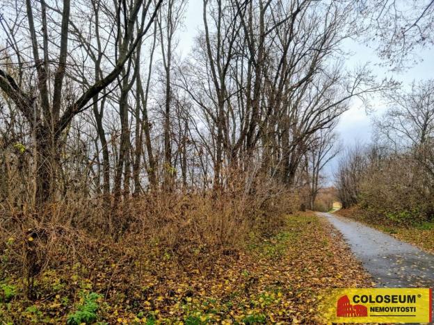 Prodej pozemku pro bydlení, Rousínov - Čechyně, 3392 m2