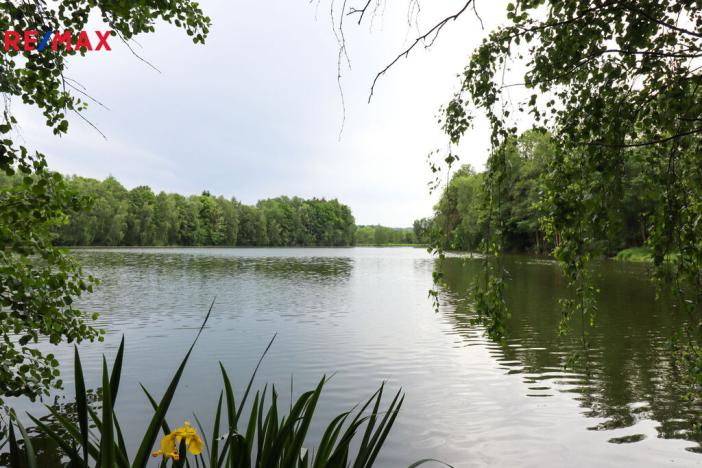 Prodej pozemku pro bydlení, Čejov - Hadina, 190028 m2