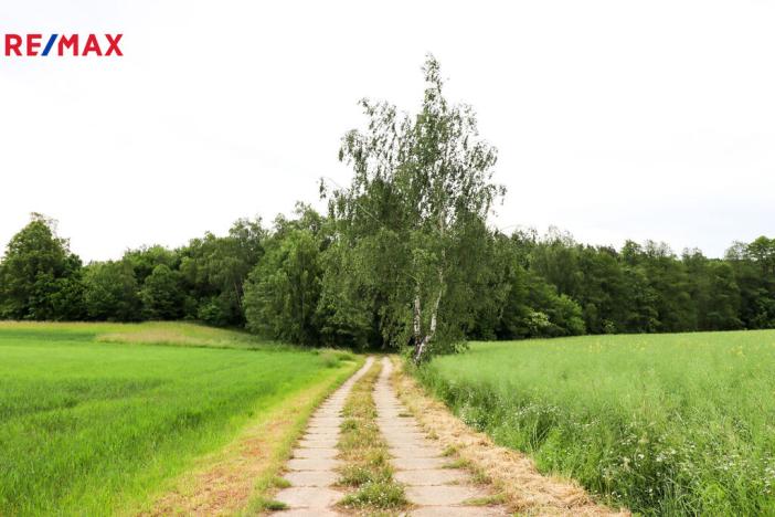 Prodej rybníku, Čejov - Hadina, 190028 m2