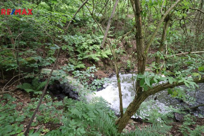 Prodej rybníku, Čejov - Hadina, 190028 m2