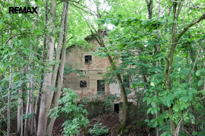 Prodej rybníku, Čejov - Hadina, 190028 m2