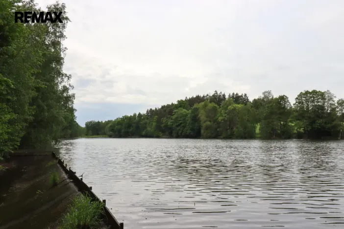 Prodej rybníku, Čejov - Hadina, 190028 m2