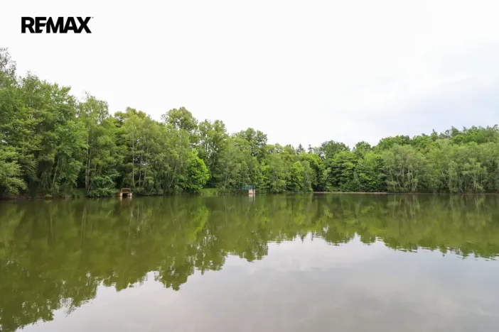 Prodej rybníku, Čejov - Hadina, 190028 m2