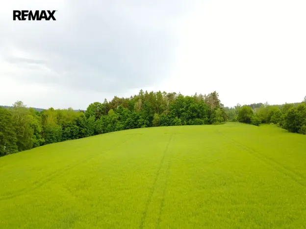 Prodej rybníku, Čejov - Hadina, 190028 m2