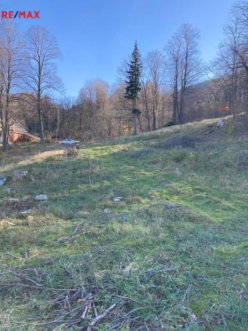 Prodej pozemku, Bílý Potok, 6645 m2