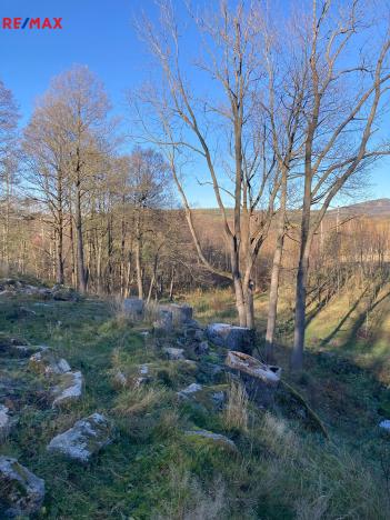 Prodej pozemku, Bílý Potok, 6645 m2