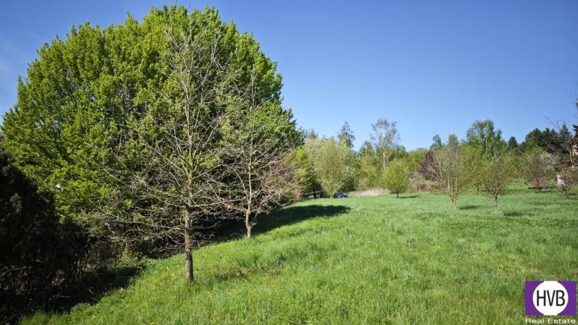 Prodej pozemku pro bydlení, Velké Popovice, 2518 m2