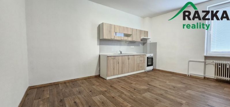 Pronájem bytu 3+1, Bor, Zápodočeská, 70 m2