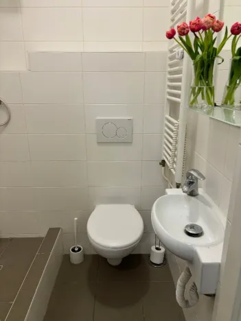 Pronájem bytu 1+1, Ostrava - Zábřeh, Čujkovova, 28 m2