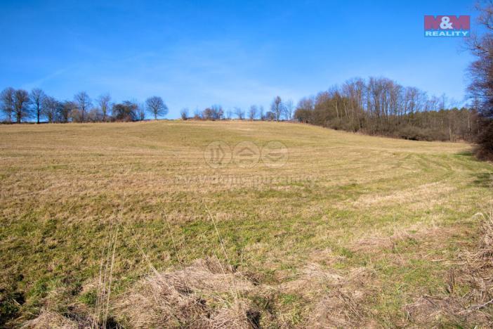 Prodej komerčního pozemku, Kateřinice, 2979 m2