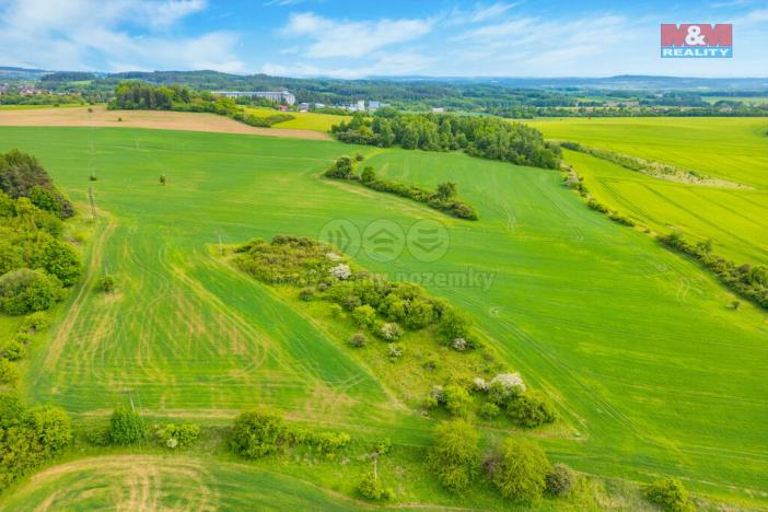 Prodej louky, Lešetice, 6006 m2