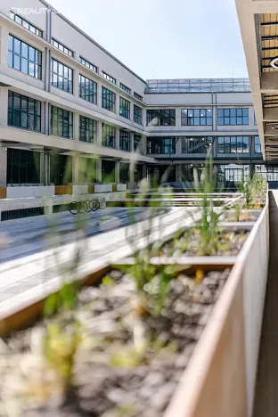 Pronájem kanceláře, Praha - Vysočany, Kolbenova, 244 m2