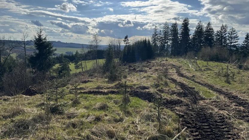 Prodej lesa, Pecka, 35108 m2