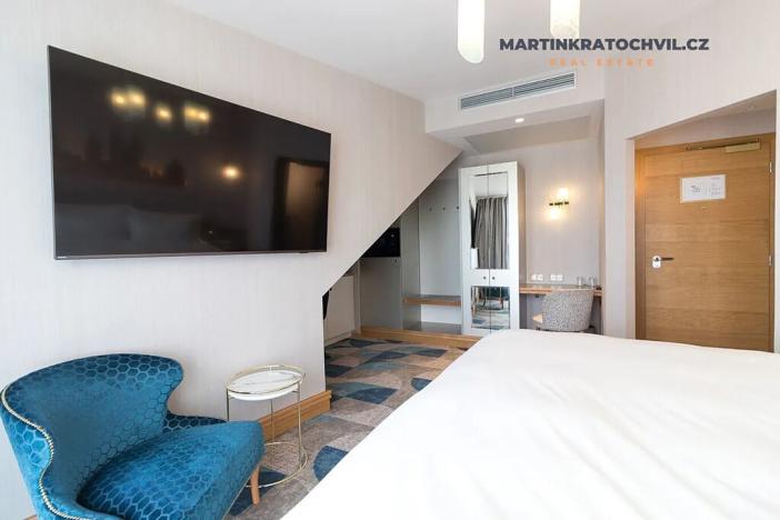 Pronájem bytu 1+kk, Praha - Staré Město, Bílkova, 29 m2