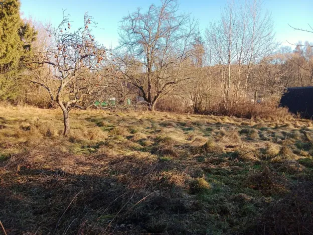 Prodej pozemku pro bydlení, Nová Bystřice - Albeř, 1074 m2