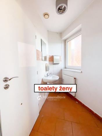 Pronájem obchodního prostoru, Znojmo - Oblekovice, Evropská, 230 m2
